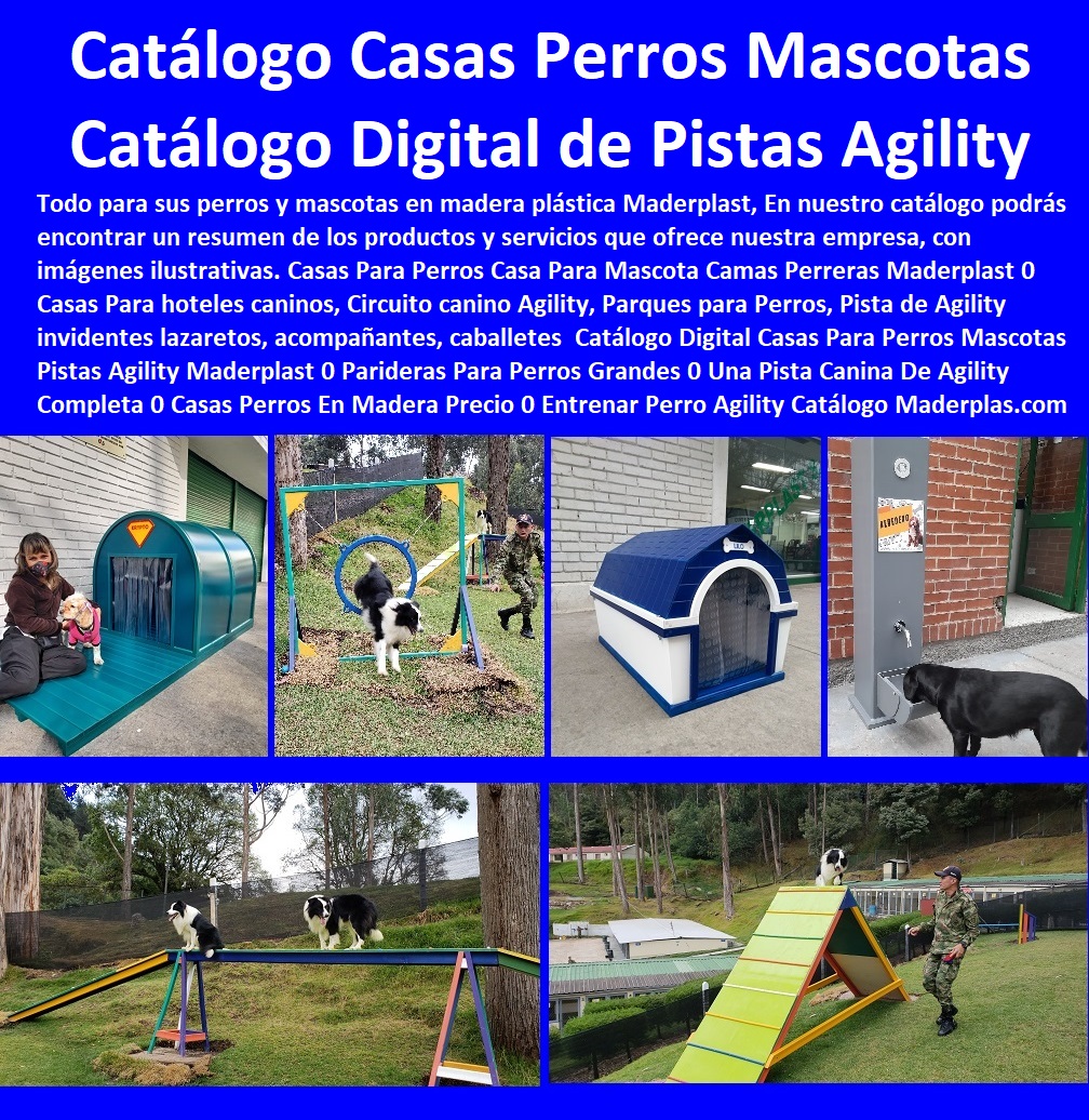 Catálogo 33 Casas Para Perros Mascotas Pistas Agility Maderplast 0 Pistas Caninas 0 Casas Para Perros De Plástico 0 Pista De Obstáculos Para Perros 0 Casas Para Perros Económicas 0 Como Hacer Una Pista De Agility Equipo De Agility Catálogo 33 Casas Para Perros Mascotas Pistas Agility Maderplast 0 Pistas Caninas 0 Casas Para Perros De Plástico 0 Pista De Obstáculos Para Perros 0 Casas Para Perros Económicas 0 Como Hacer Una Pista De Agility Equipo De Agility